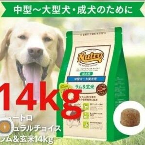 ニュートロナチュラルチョイス ラム&玄米 中型犬 大型犬 成犬用 14kg