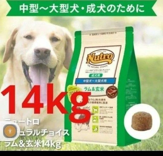 ニュートロナチュラルチョイス ラム&玄米 中型犬 大型犬 成犬用 14kg