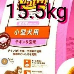 ニュートロナチュラルチョイス チキン&玄米 小型犬 成犬用 15.5kg