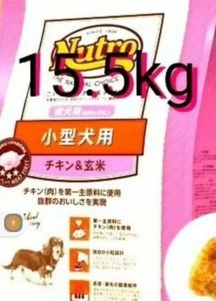 ニュートロナチュラルチョイス チキン&玄米 小型犬 成犬用 15.5kg