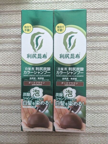 Sastty 利尻 炭酸カラーシャンプー ダークブラウン 180g×2本