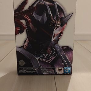 S.H.Figuarts 真骨彫製法 仮面ライダー響鬼 真骨彫製法 10th Anniversary Ver. 未開封 輸送箱あり