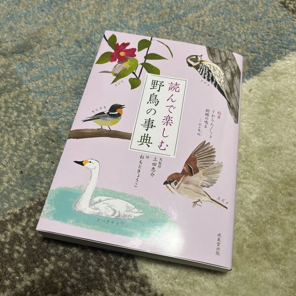 読んで楽しむ野鳥の事典 上田恵介/鳥監修 ねもときょうこ/絵