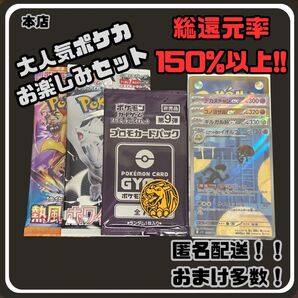 早い者勝ち 未開封パック付き 見えるポケカお楽しみセット ポケモンカード AR