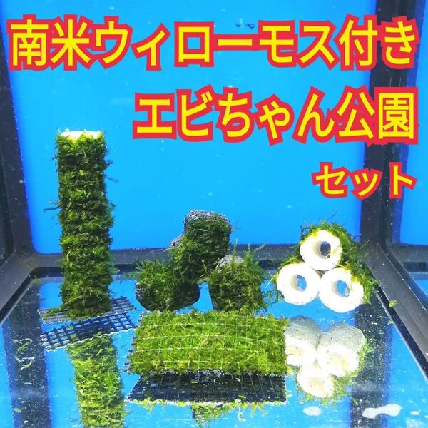 エビちゃん公園セット 南米ウィローモス 溶岩石 マット シェルター 水槽 レイアウト 模型 メダカ グッピー ベタベタ