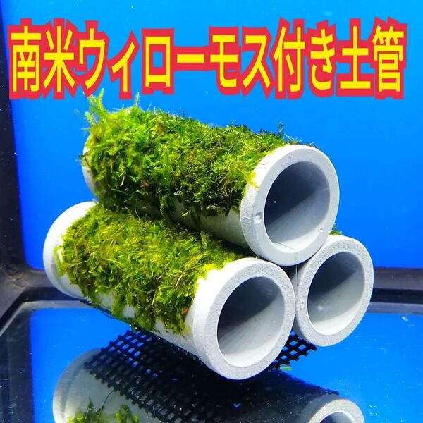 南米ウィローモス 土管 水槽 レイアウト 模型 無農薬 メダカ グッピー プレコ エビ 溶岩石 流木