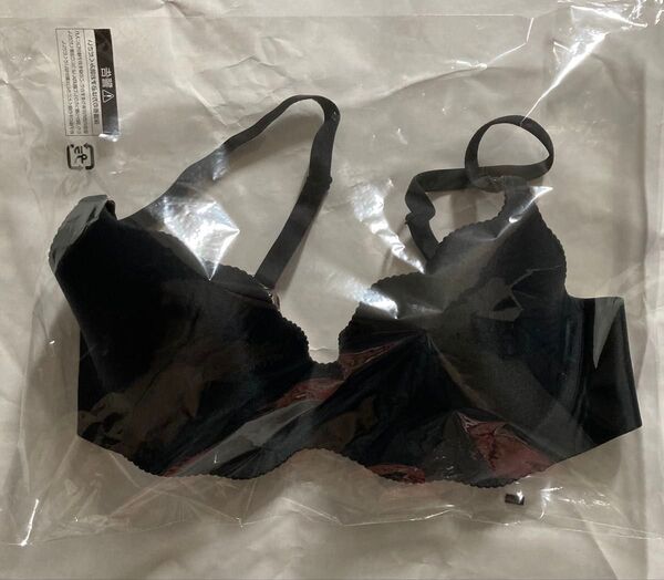 ブラジャー 女性用Tシャツブラ トリンプ 黒ブラ 黒ブラジャー レディース下着 ブラックブラ ブラックブラジャー Tシャツブラ