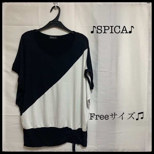SPICA スピカ バイカラー モノトーン シンプル モード系 Freeサイズ トップス 半袖 カットソー F