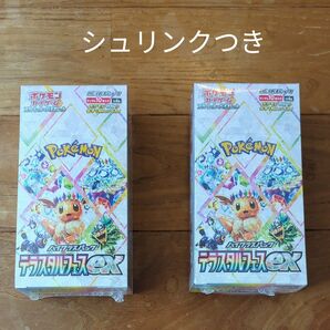 テラスタルフェスexシュリンク付き2box