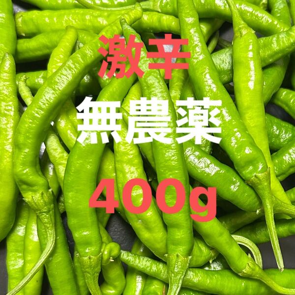 激辛青唐辛子(400g)