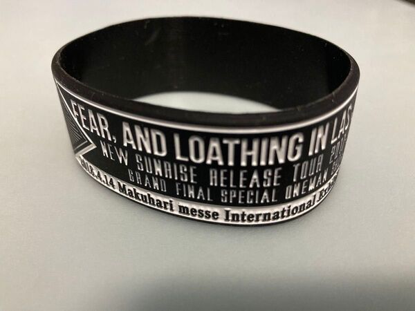 Fear, and Loathing in Las Vegas ラスベガス 幕張メッセ限定 ワンマン ラババン 音楽