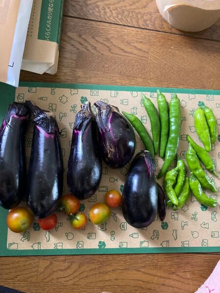 ④無農薬本日どり猫が食べるほどうまい新鮮野菜セット ナス5個 トマト6個 青唐辛子4個ししとう8個
