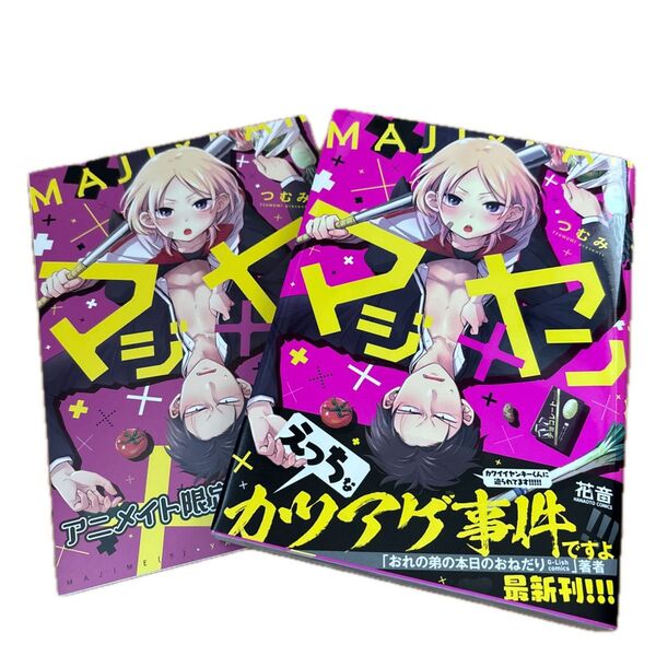 つむみ マジ×ヤン アニメイト限定4Pリーフレット BLコミック ボーイズラブ