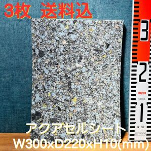 アクアセルR 3枚セット ハクサン 純正品