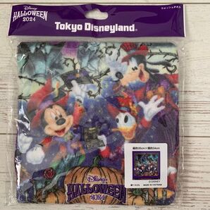 ディズニーリゾート ウォッシュタオル ハンドタオル