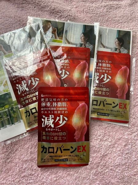 カロバーンEX 60粒×4袋 肥満気味の方の体重 体脂肪の減少を助けるサプリ