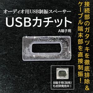 オーディオ用オリジナル樹脂製USBスペーサー USBカチットA端子用/一枚
