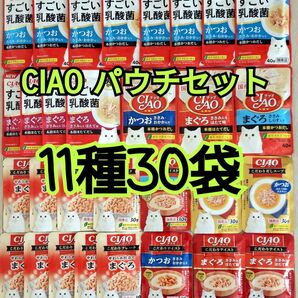 【11種30袋】CIAOチャオパウチバラエティ 国産品キャットフード