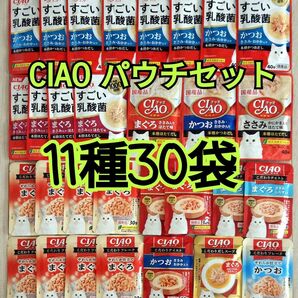 【11種30袋】CIAOチャオパウチバラエティ 国産品キャットフード