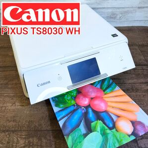 【動作良好】Canon カラープリンター PIXUS TS8030 WH