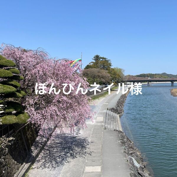 ぽんぴんネイル様