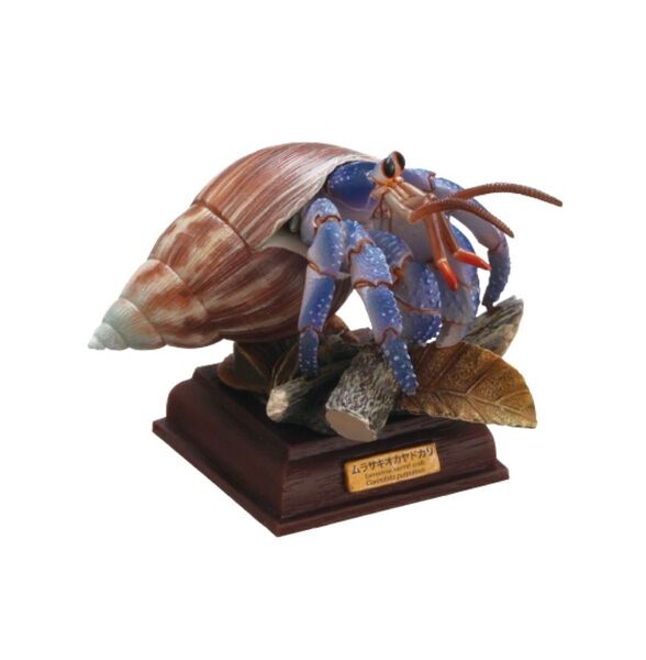 【未開封】NTC 小笠原 特装版 ムラサキオカヤドカリ ネイチャーテクニカラー カプセルトイ ガチャ