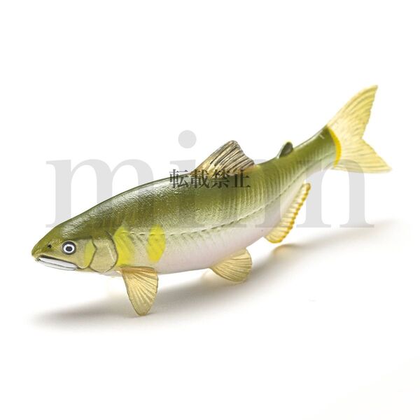 【未開封】Nature of Japan 日本のいきもの 3 アユ NTC ネイチャーテクニカラー カプセルトイ ガチャ