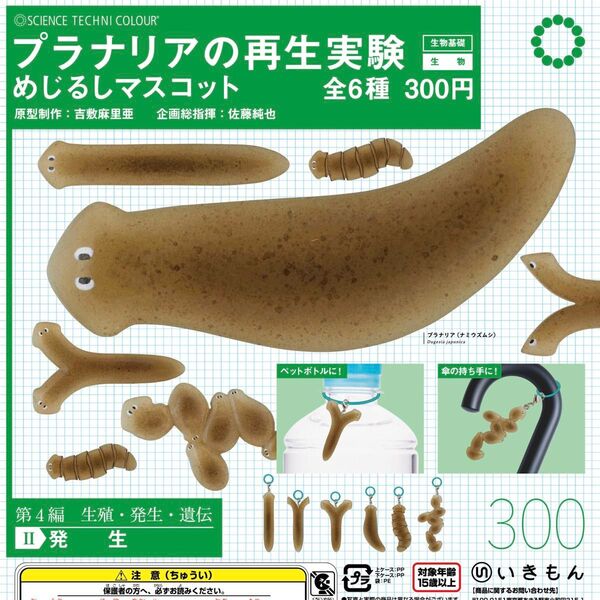 【未開封・コンプリート】STC プラナリアの再生実験 めじるしマスコット NTC ネイチャーテクニカラー ガチャ カプセルトイ