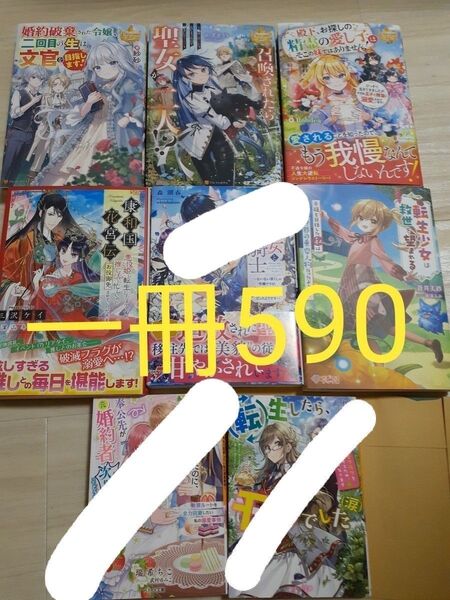 康和国花宮伝 悪役姫に転生したようですが、推し活に忙しいのでお役御免させていただきます 三沢ケイ/著
