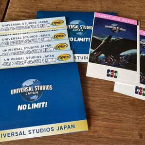 ユニバーサルスタジオジャパン USJ 入場券2枚・エクスプレス・パス4枚 セット