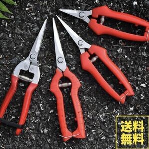 剪定鋏 生花 はさみ ハサミ ガーデニング 花 庭 盆栽 ステンレス 園芸 果樹