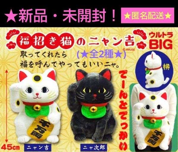 7/19迄限定特価!新品☆【★福招き猫のニャン吉】ウルトラBIGぬいぐるみ★全2種(ニャン吉☆ニャ次郎)★未開封