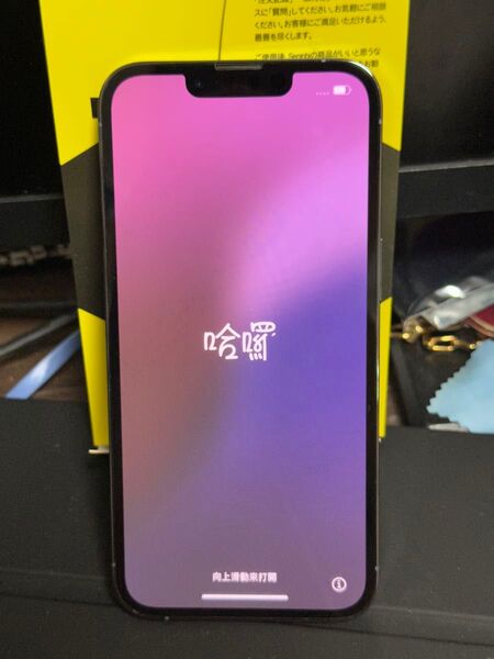 iPhone 13 Pro 1TB SIMフリー MLV73J/A