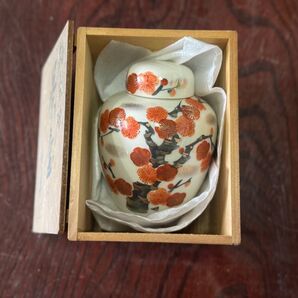 九谷焼 梅花五福 茶壺