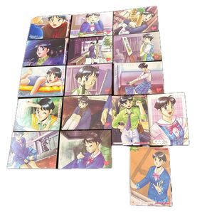 TRUE LOVE STORY トレーディングカード16枚まとめ売り リバーシブル