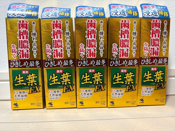 【新品未使用】生葉 薬用歯磨き EX 100g×5本
