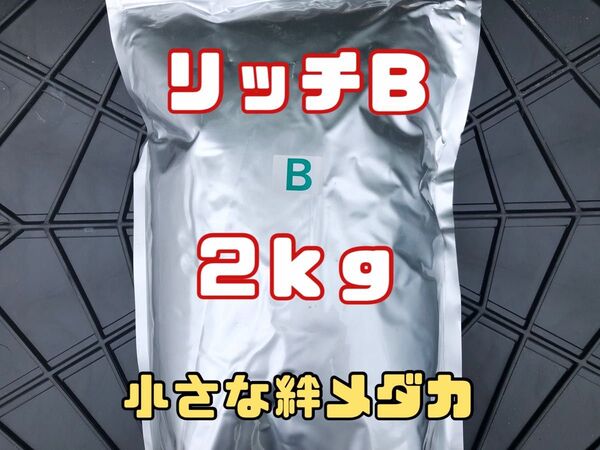 高栄養飼料 めだか餌 リッチB 2㎏ めだか 熱帯魚 観賞魚等のエサに ハイグロウ 科学飼料研究所 RICH【小さな絆めだか】
