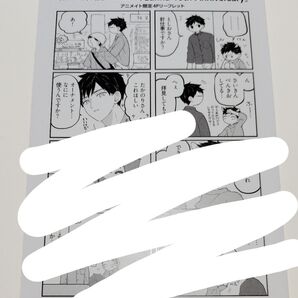 Canna 10th Anniversary アニメイト 予約限定 特典 4Pリーフレット