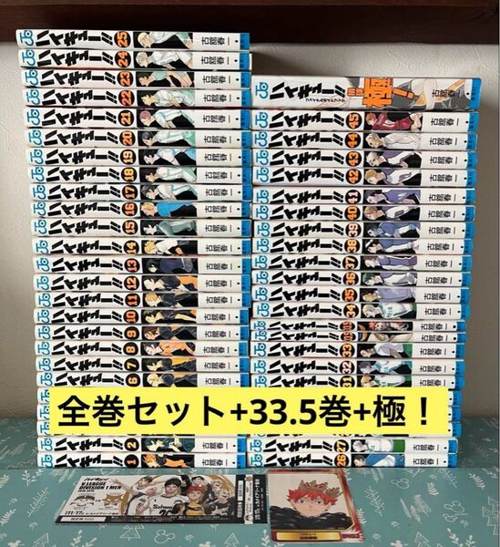 【ハイキュー】漫画全巻 1〜45巻+33.5巻 ファイナルガイドブック排球極! 特別招待券風しおり 集英社