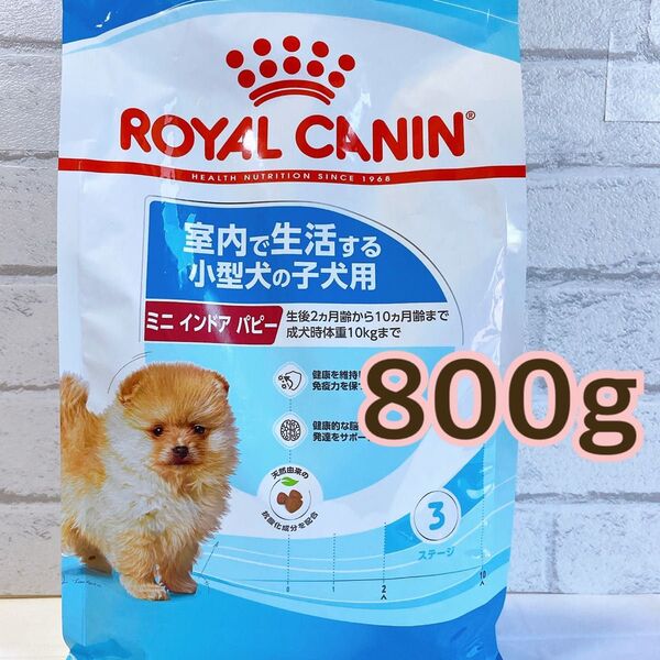 ロイヤルカナン ミニ インドア パピー 室内 小型犬 子犬 800g