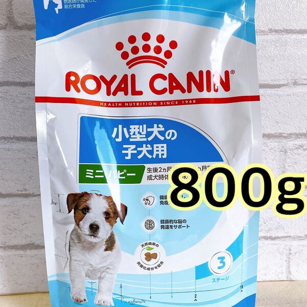 ロイヤルカナン ミニ パピー 小型犬 子犬 800g