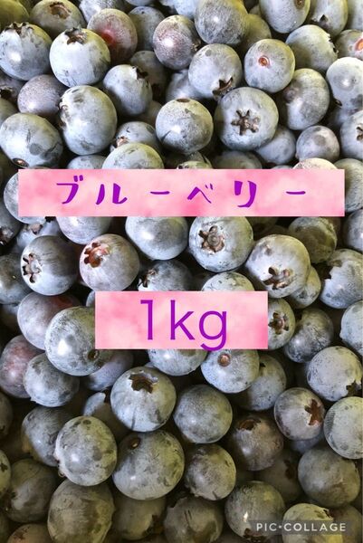 生ブルーベリー 1kg 無農薬