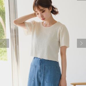 Kastane カットジャガードTee アイボリー
