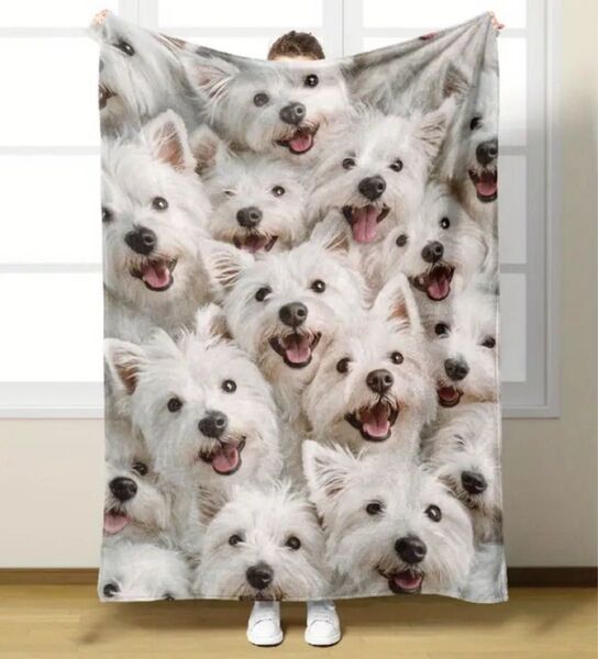 犬柄 ブランケット 毛布 ホワイトハイランドホワイトテリア 100×150
