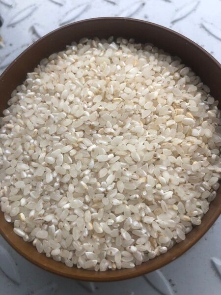 鳥餌 20kg 鶏 雀 小動物用 くず米
