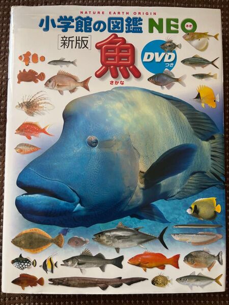 魚 (小学館の図鑑NEO 4) (新版)DVDなし