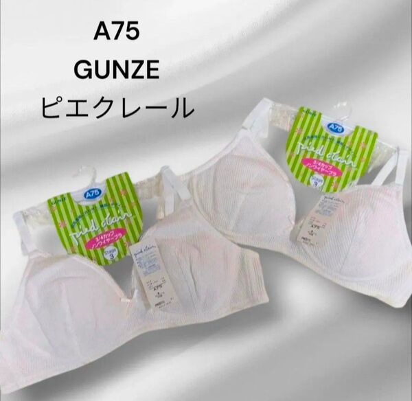 グンゼ*ピエクレール*【A75】ジュニアブラ ノンワイヤー 学生ブラ小学生ブラファーストブラ