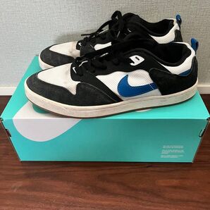 NIKE ナイキ SB アリウープ MENS 27.5cm ブルー