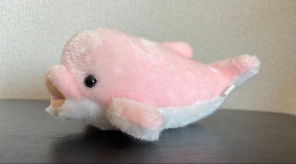 製薬会社 ノベルティ イルカのぬいぐるみ 非売品