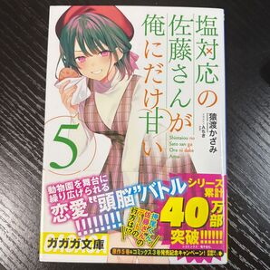 塩対応の佐藤さんが俺にだけ甘い 5